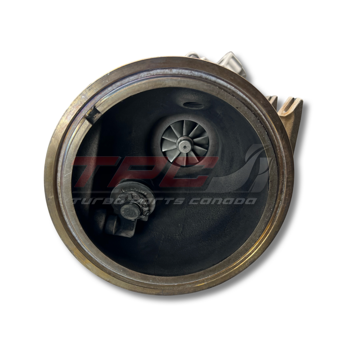 Audi B9 S4/S5 3.0L TURBOCHARGER (Remanufactured) w/ Upgraded Bearings EA839 - GLS Performance Motorsports LLC - -  - 